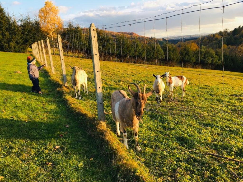 Dom Wschodzacego Slonca Lägenhet Solina  Exteriör bild